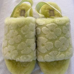 UGG slippers